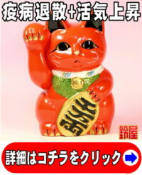 女性への退院祝いの贈り物