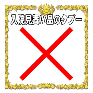 入院お見舞い品のタブーなどお花や手土産のマナーを解説