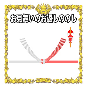 お見舞いのお返しののしの書き方など御礼や亡くなった場合を解説