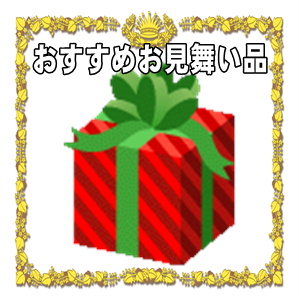 おすすめのお見舞い品